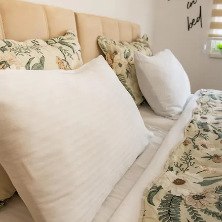 Vibes * 塞拉耶佛